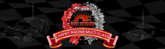 ACE series carpet racing multi